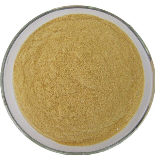 Milk thistle extract powder - extract,