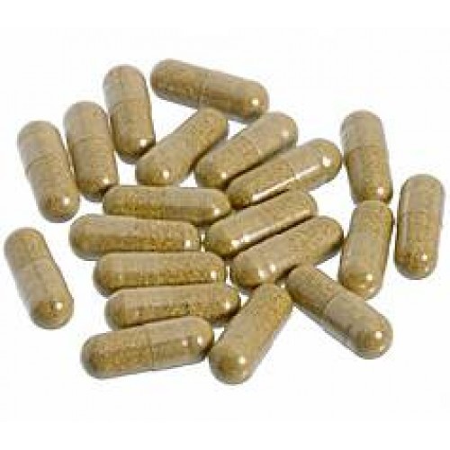 Milk thistle seed - seed, 366mg
